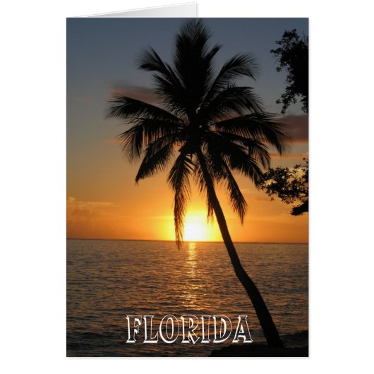 Beautiful Florida Cards (Front)