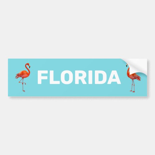 Beautiful Florida Flamingos on Light Blue Bumper Sticker