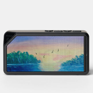 Beautiful Florida waters on bluetooth speaker 