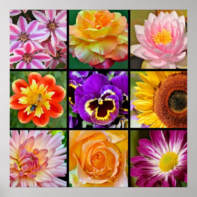 Beautiful flower collage print poster (Front)