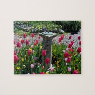 Beautiful Flower Garden