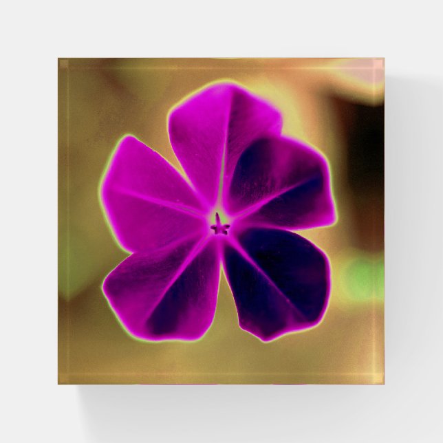 Beautiful Flower Print Paperweight (Front)