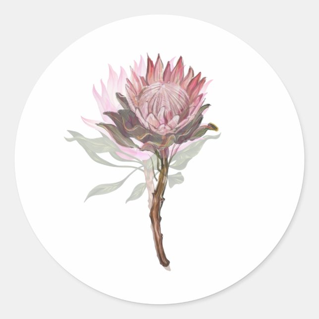 beautiful flower protea classic round sticker (Front)