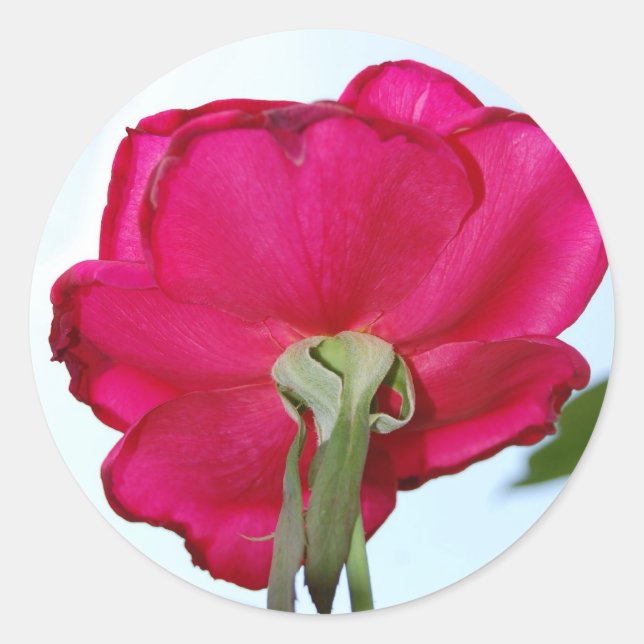 Beautiful Flower Sticker (Front)