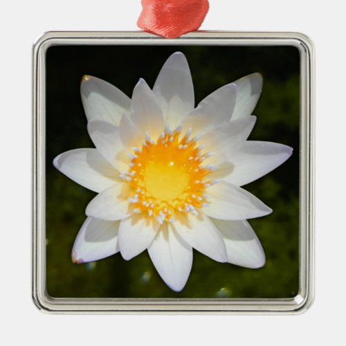 Beautiful flower white water lily metal ornament