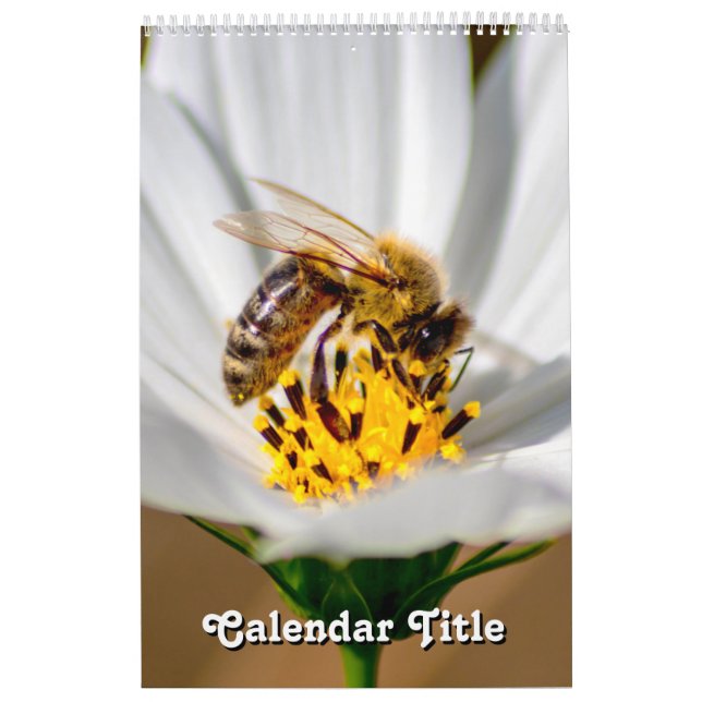 Beautiful flowers and motivational quotes calendar (Cover)