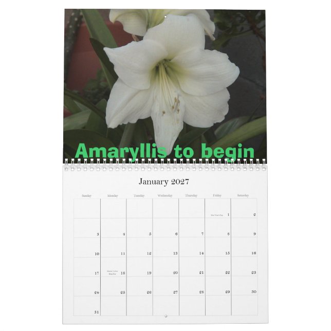 Beautiful Flowers Calendar (Jan 2027)