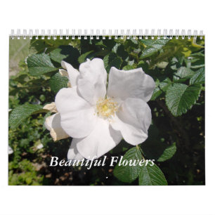 Beautiful Flowers Calendar
