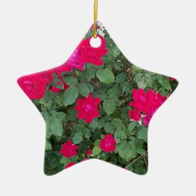 Beautiful Flowers Ceramic Ornament (Front)