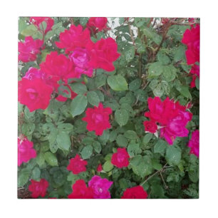Beautiful Flowers Ceramic Tile