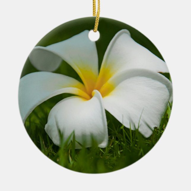 Beautiful Flowers Close-Up - Ornaments (Front)