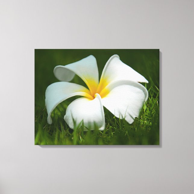 Beautiful Flowers Close-Up - Wrapped Canvas Print (Front)