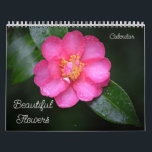 Beautiful Flowers Floral Calendar<br><div class="desc">This pretty calendar features my original photographs of flowers in bloom. Each page has the identification to the type of flower it is. These calendars are high quality and vibrant. You may choose other sizes and other options if desired. This unique calendar would make a great gift for a flower...</div>