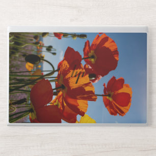Beautiful Flowers  HP Laptop Skin