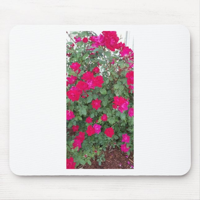 Beautiful Flowers Mouse Pad (Front)