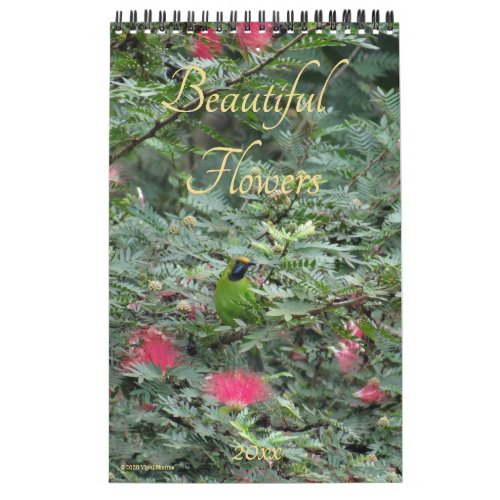 Beautiful Flowers Nature Photography 2025 Wall Calendar