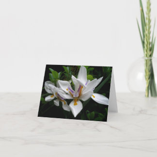 Beautiful Flowers notecard