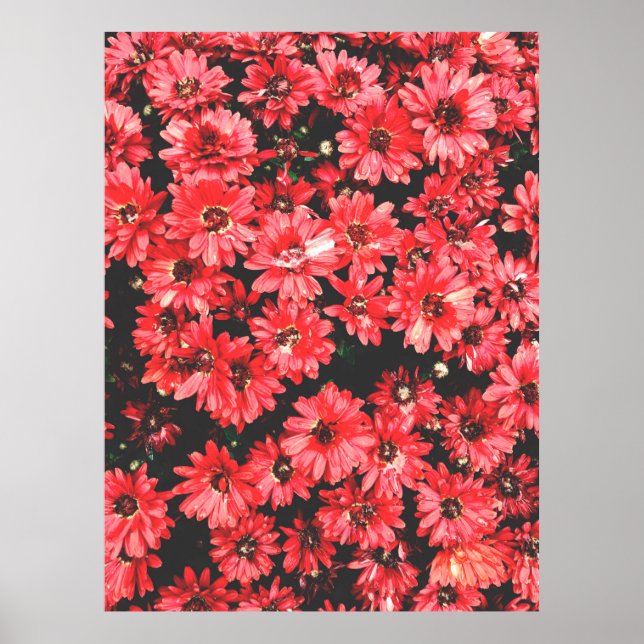 beautiful flowers of red color, flower pattern, be poster (Front)