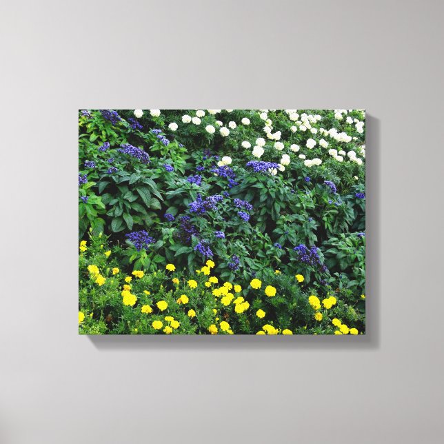 Beautiful Flowers Photo  Single Canvas Print (Front)