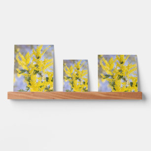 Beautiful flowers picture ledge