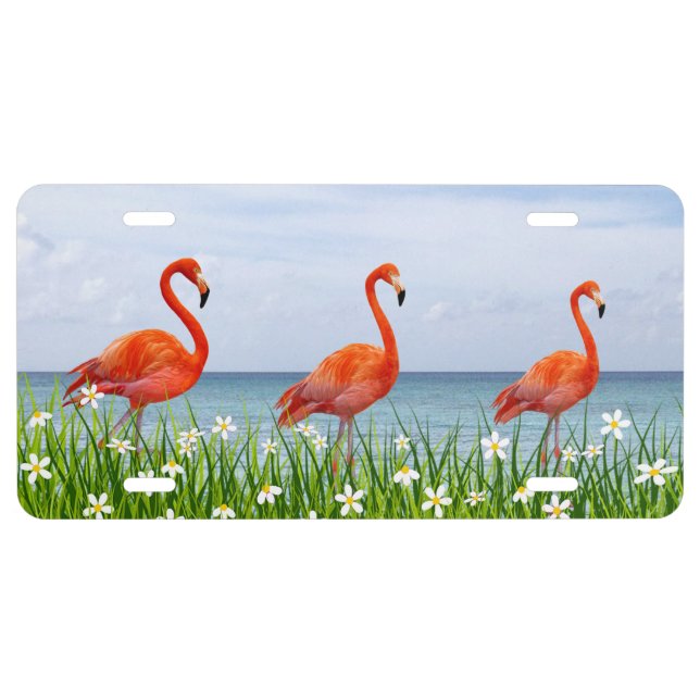 Beautiful Flowers & Pink Flamingos on the Lake License Plate (Front)