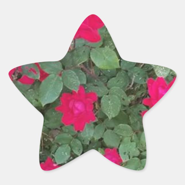 Beautiful Flowers Star Sticker (Front)