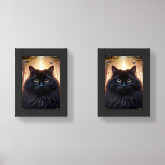 Beautiful Fluffy Black Cat with Gold Eyes Wall Art Sets