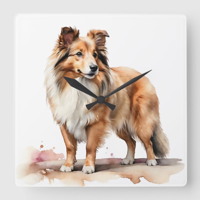 BEAUTIFUL FLUFFY SHETLAND SHEEPDOG DOG SQUARE WALL CLOCK (Front)