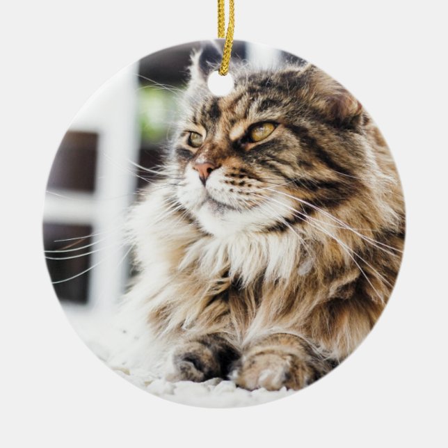 Beautiful fluffy tabby Siberian Persian cat design Ceramic Ornament (Front)