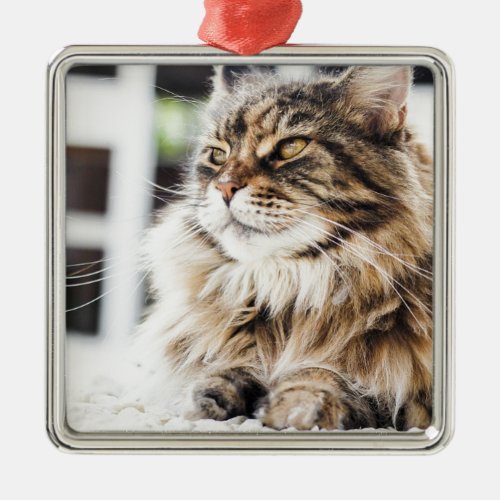 Beautiful fluffy tabby Siberian Persian cat design Metal Ornament