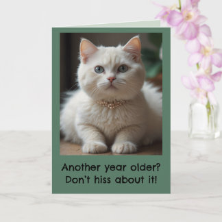 Beautiful Fluffy White Kitty with Collar Birthday Card