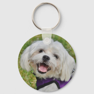 Beautiful Fluffy White Maltese Puppy Dog Keychain