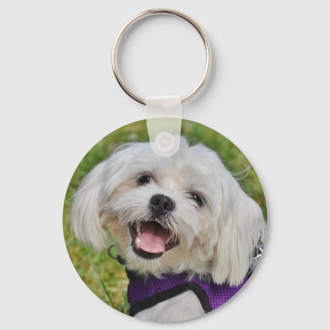Beautiful Fluffy White Maltese Puppy Dog Keychain (Front)