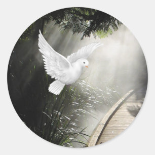 Beautiful flying dove in sunbeam classic round sticker