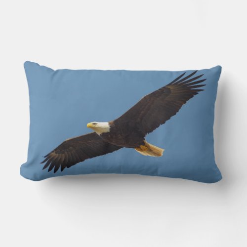 Beautiful Flying Eagle Print Throw Pillow