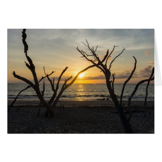 Beautiful Folly Morning Cards (Front Horizontal)