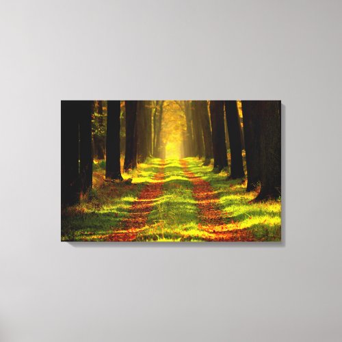 Beautiful Forest Path Road Canvas Print