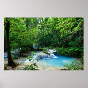 Beautiful Forest Poster