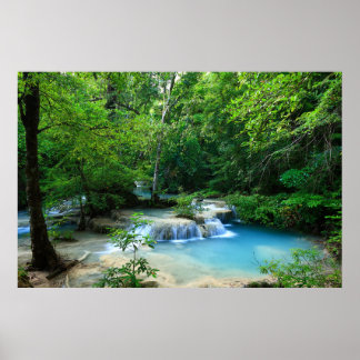 Beautiful Forest Poster