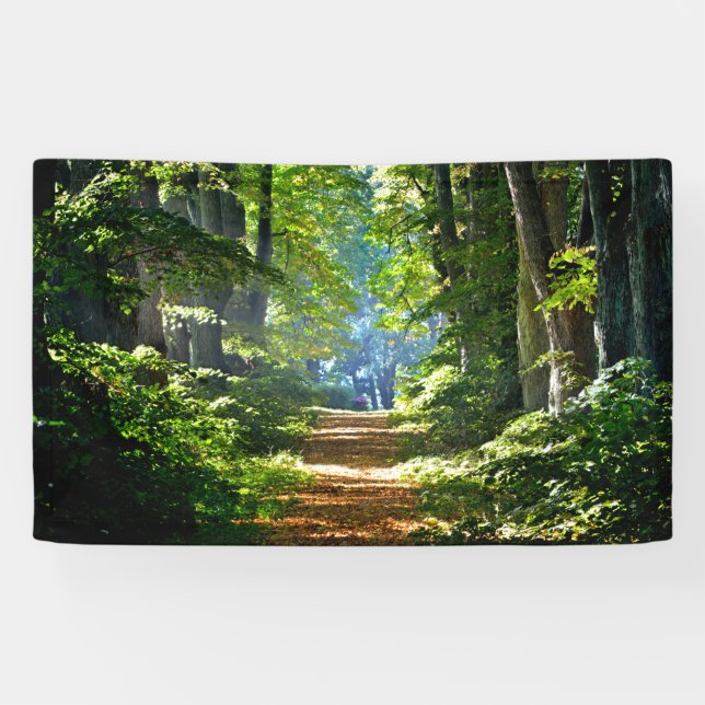 Beautiful Forest Road in Summer Banner (Horizontal)