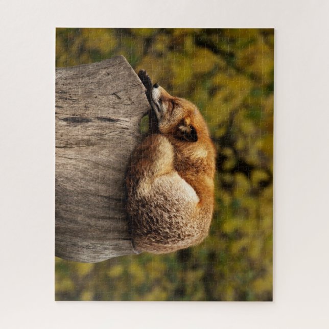 Beautiful Fox Sleeping on a Tree Stump Jigsaw Puzzle (Vertical)