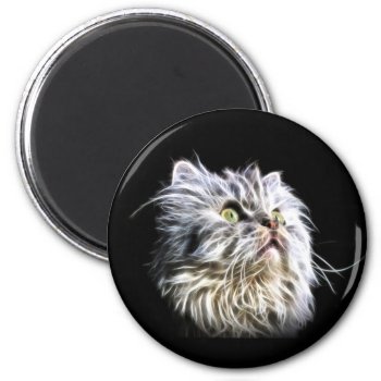 Beautiful Fractalius Persian Cat Face Magnet by deemac2 at Zazzle