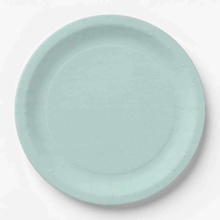 Beautiful fresh mint green disposable paper plate