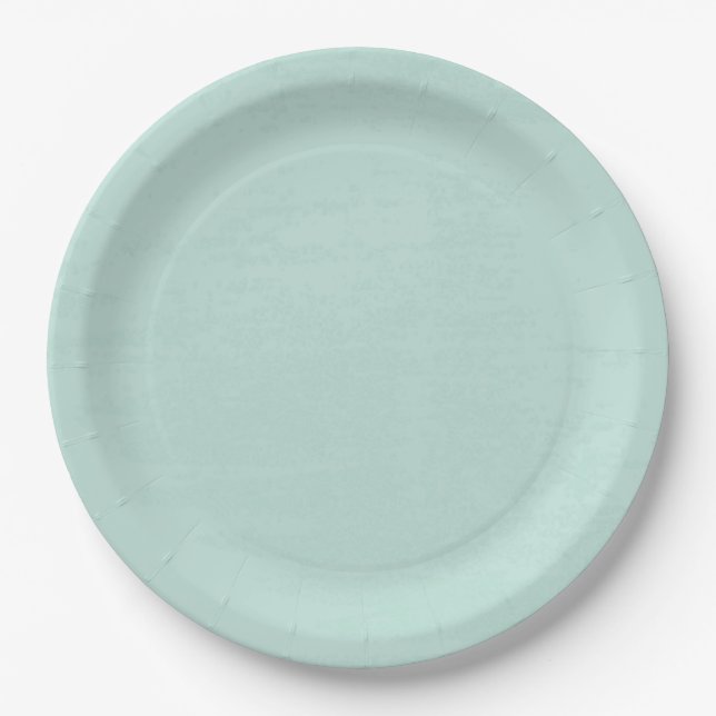 Beautiful fresh mint green disposable paper plates (Front)