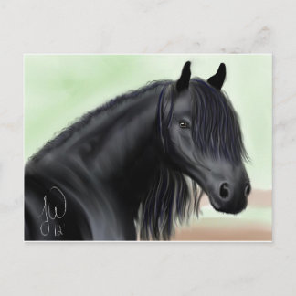 Beautiful Friesian Postcard