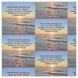 BEAUTIFUL FRUIT OF THE SPIRIT SERENITY SUNRISE FABRIC