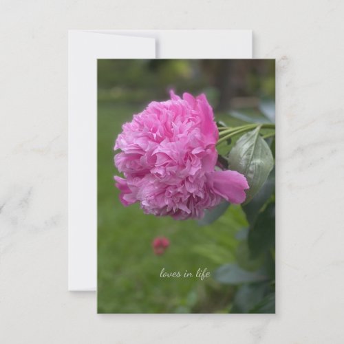 Beautiful Full Pink Peony Note Card