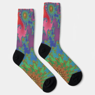 Beautiful Funky Rainbow Colored Fractal Art Socks