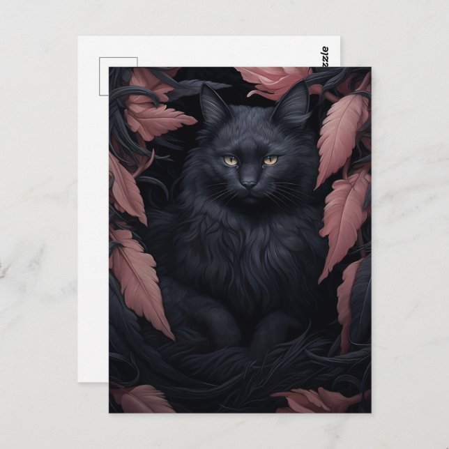 Beautiful Furry Black Cat  Postcard (Front/Back)