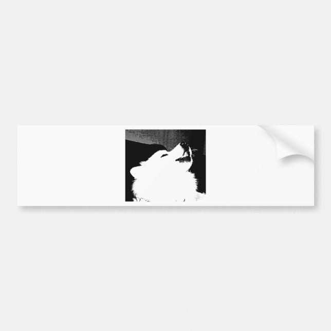 Beautiful furry Samoyed white dog Bumper Sticker (Front)